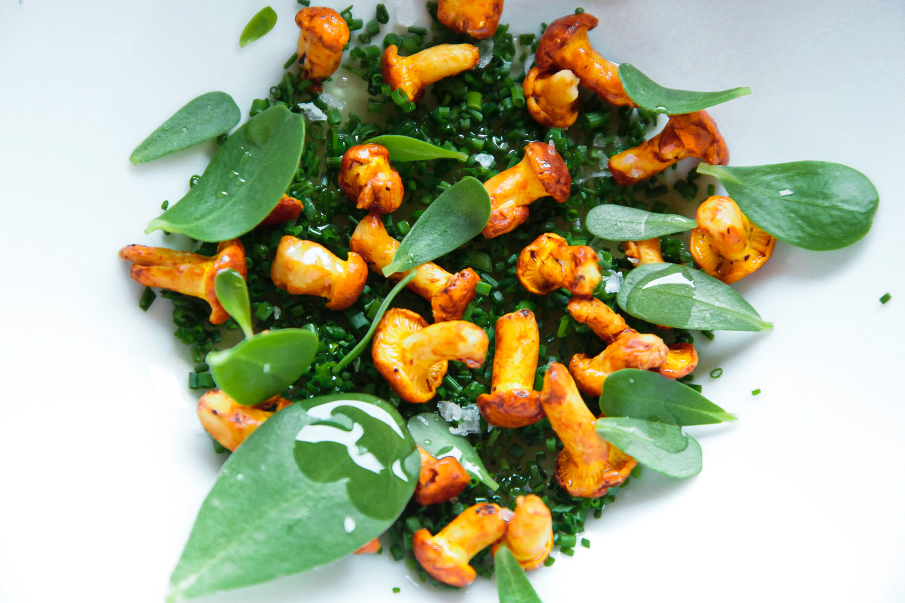 Photographie culinaire - Plat gastronomique avec mise en scène artistique