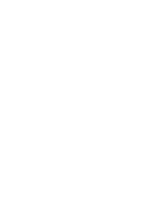 Bogner Fire Ice Logo