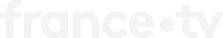 France TV Logo