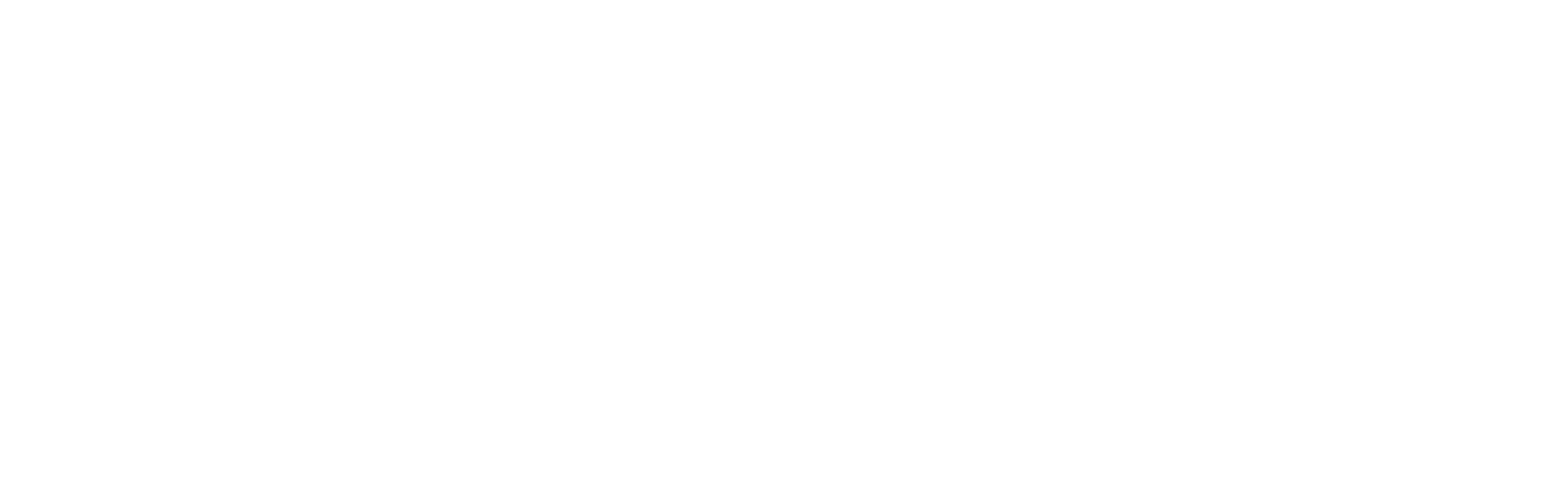 Intersport Logo