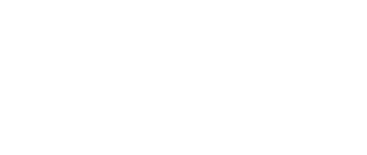 Rip Curl Logo